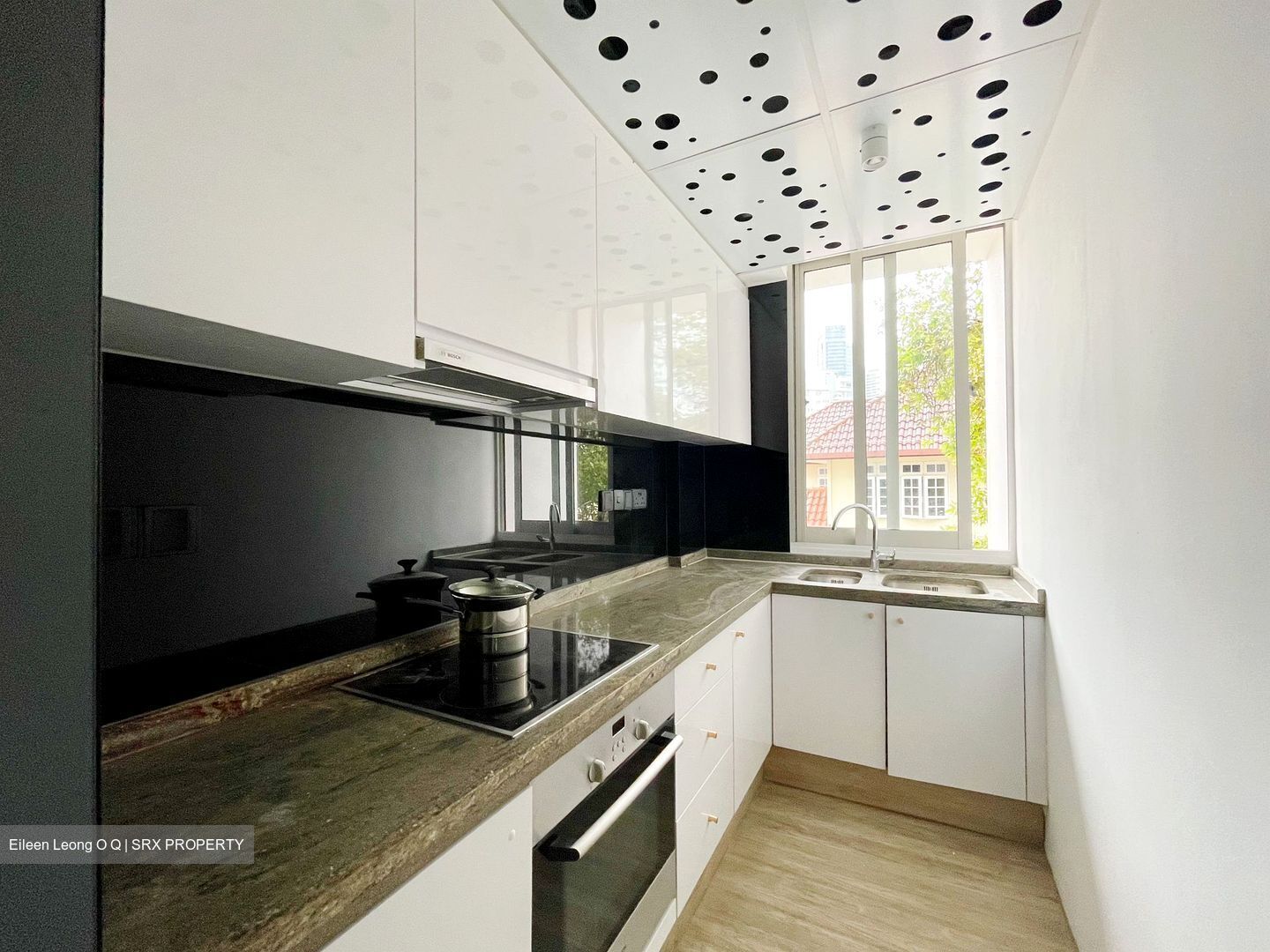 DLV (D10), Apartment #488742521